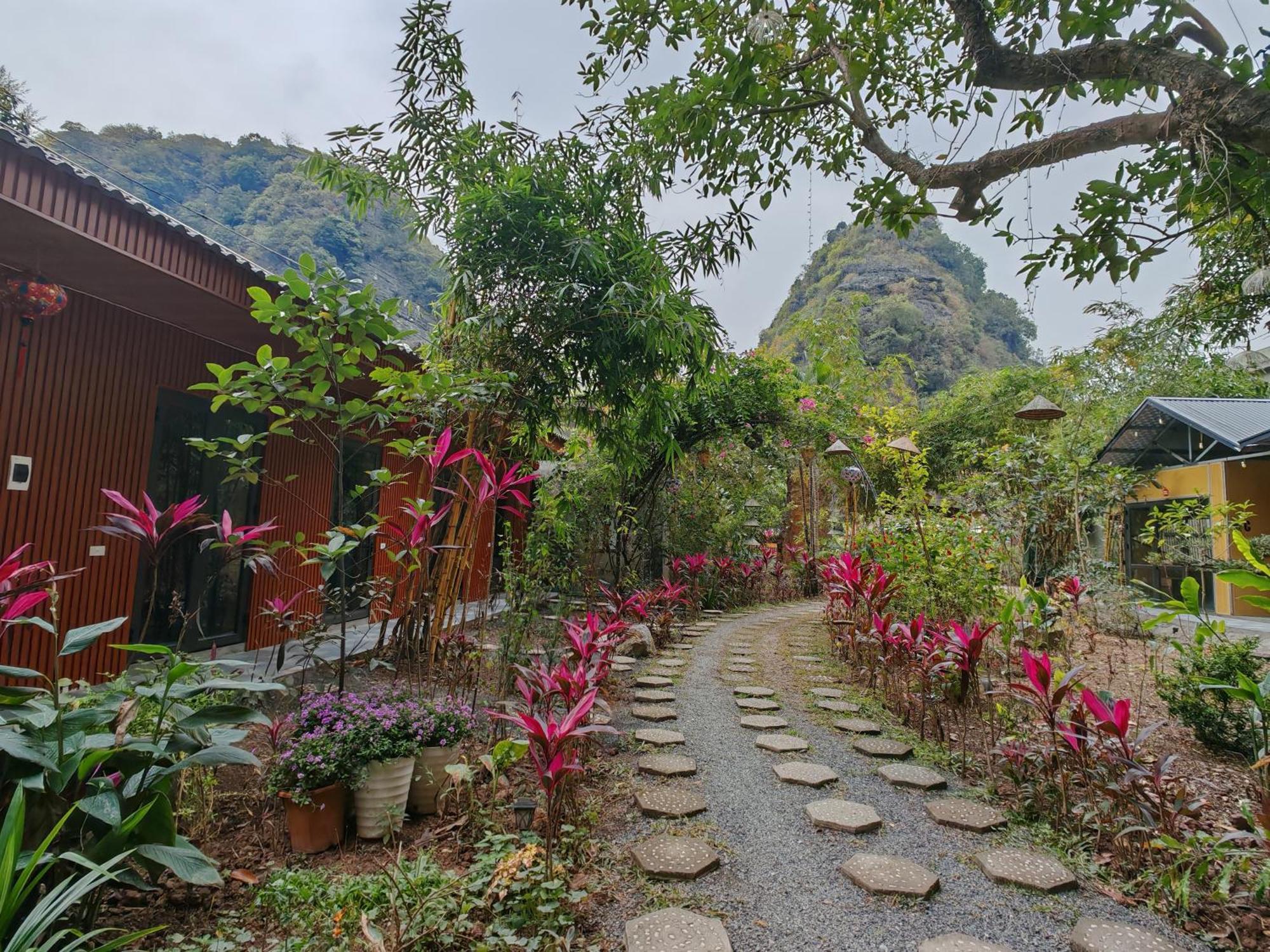 Green Valley Homestay - Thung Lung Xanh Nguyen Ngoai Buitenkant foto