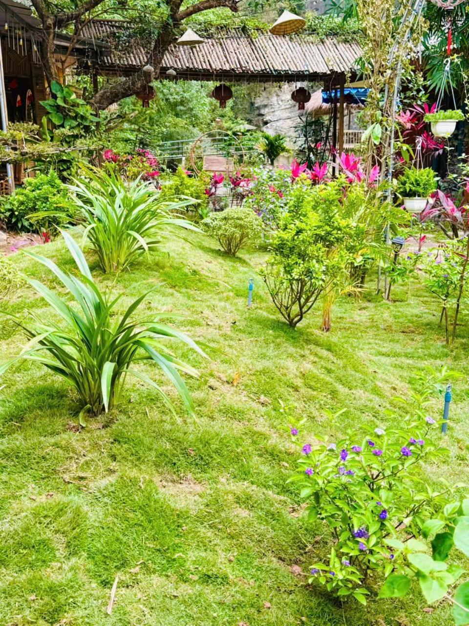 Green Valley Homestay - Thung Lung Xanh Nguyen Ngoai Buitenkant foto