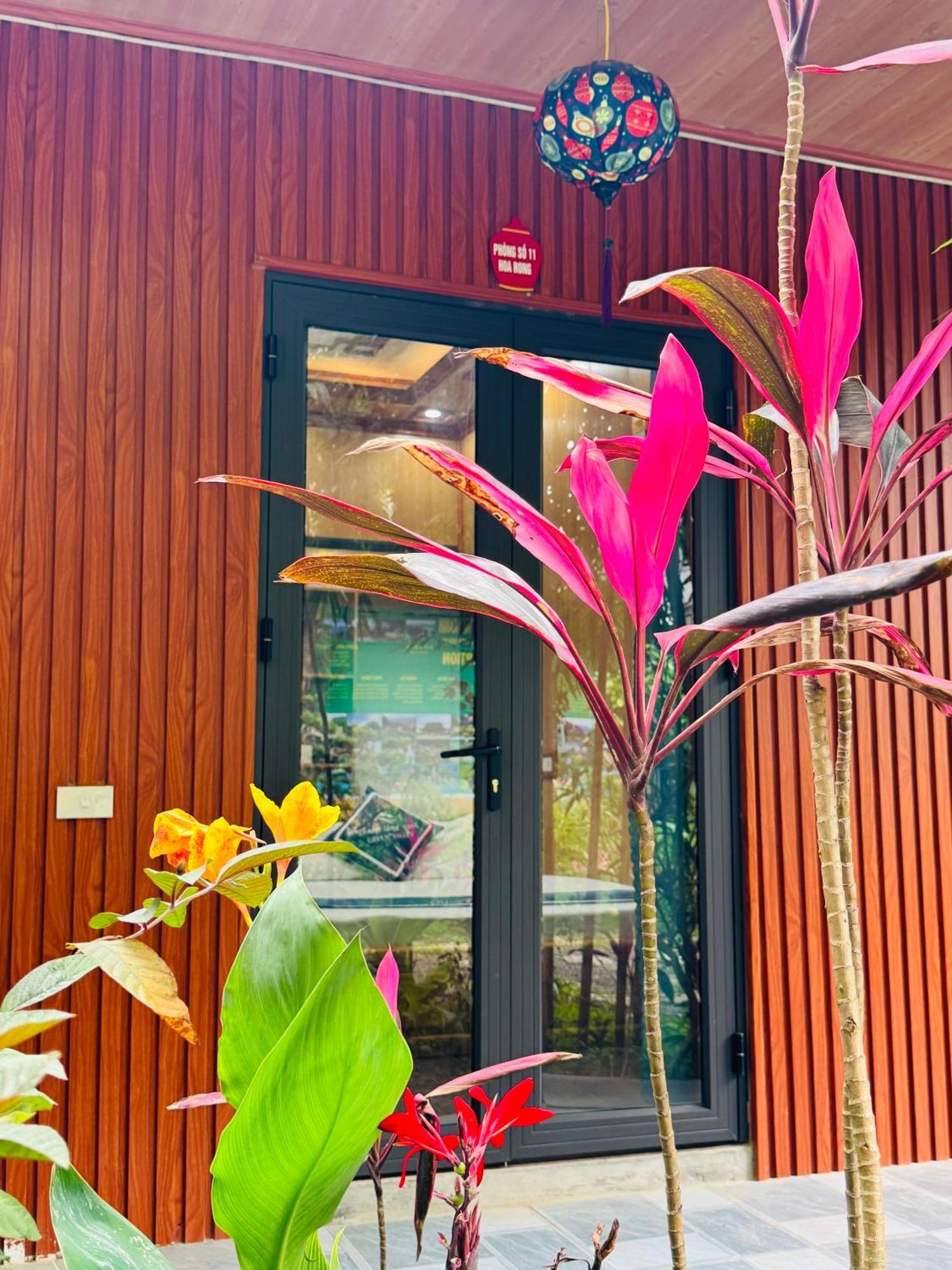 Green Valley Homestay - Thung Lung Xanh Nguyen Ngoai Buitenkant foto